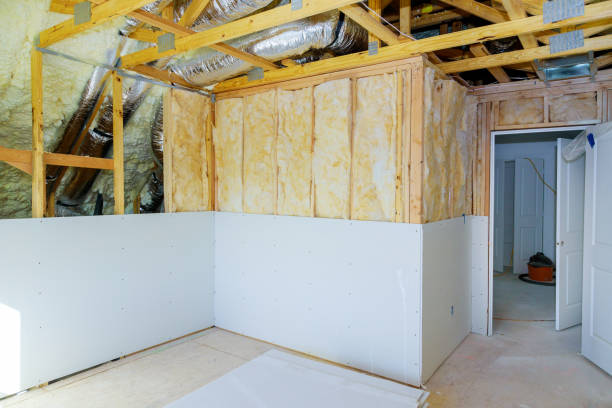 Best Insulation Removal  in Winters, CA